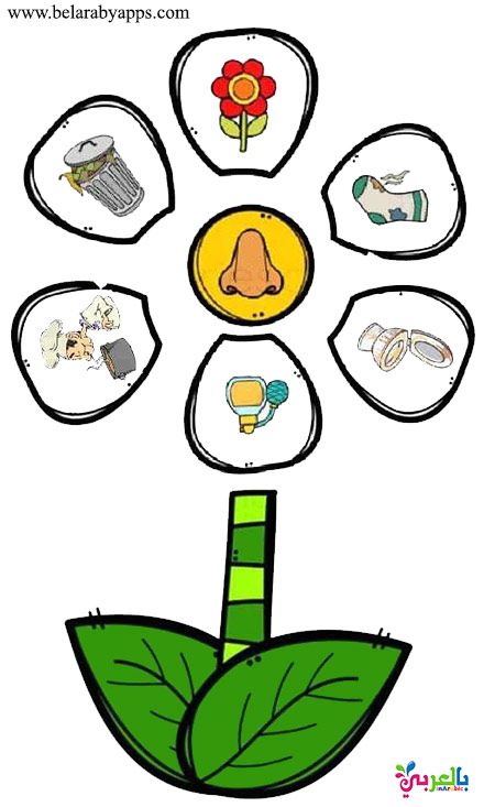 الحواس الخمس by Naseem Burqan - Ourboox.com