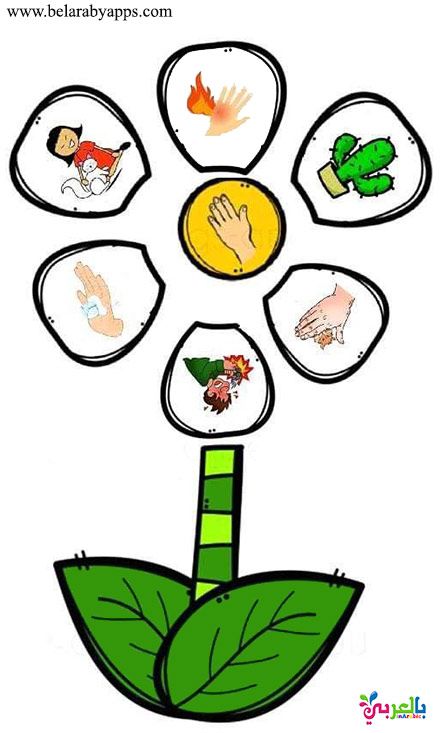 الحواس الخمس by Naseem Burqan - Ourboox.com