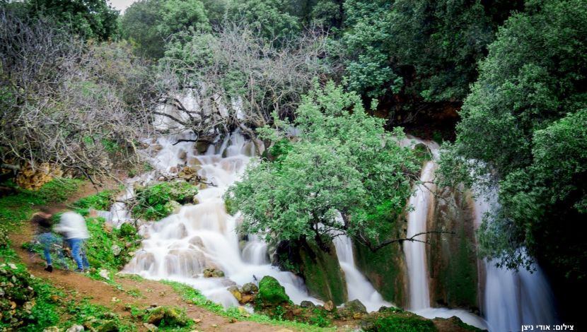 Excursions in Israel by david - Ourboox.com