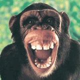 50 shades of umbrella man by Guy Huller - Ourboox.com