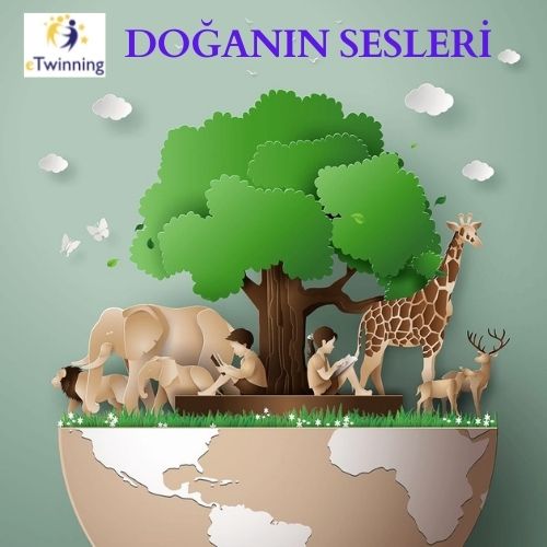 DOĞANIN SESLERİ ORTAK TAKVİM ÇALIŞMASI by FATMA KILIÇ - Ourboox.com