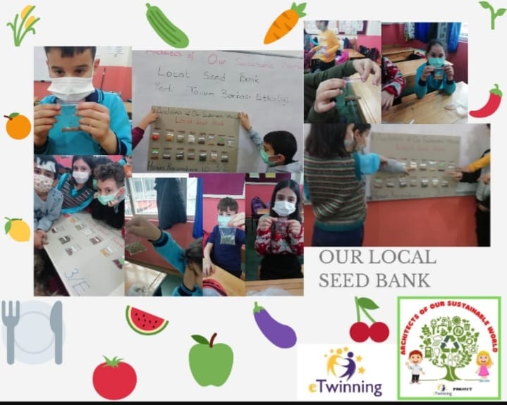 “ARCHITECTS OF OUR SUSTAINABLE WORLD” PROJECT DECEMBER E-BOOK STUDY by İsmail ÇİÇEK - Illustrated by eTwinning project - Ourboox.com