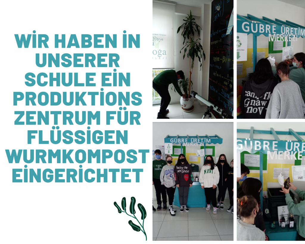 Zurück zum Grünen Dorf Dezember by imge yılmaz uyar - Ourboox.com