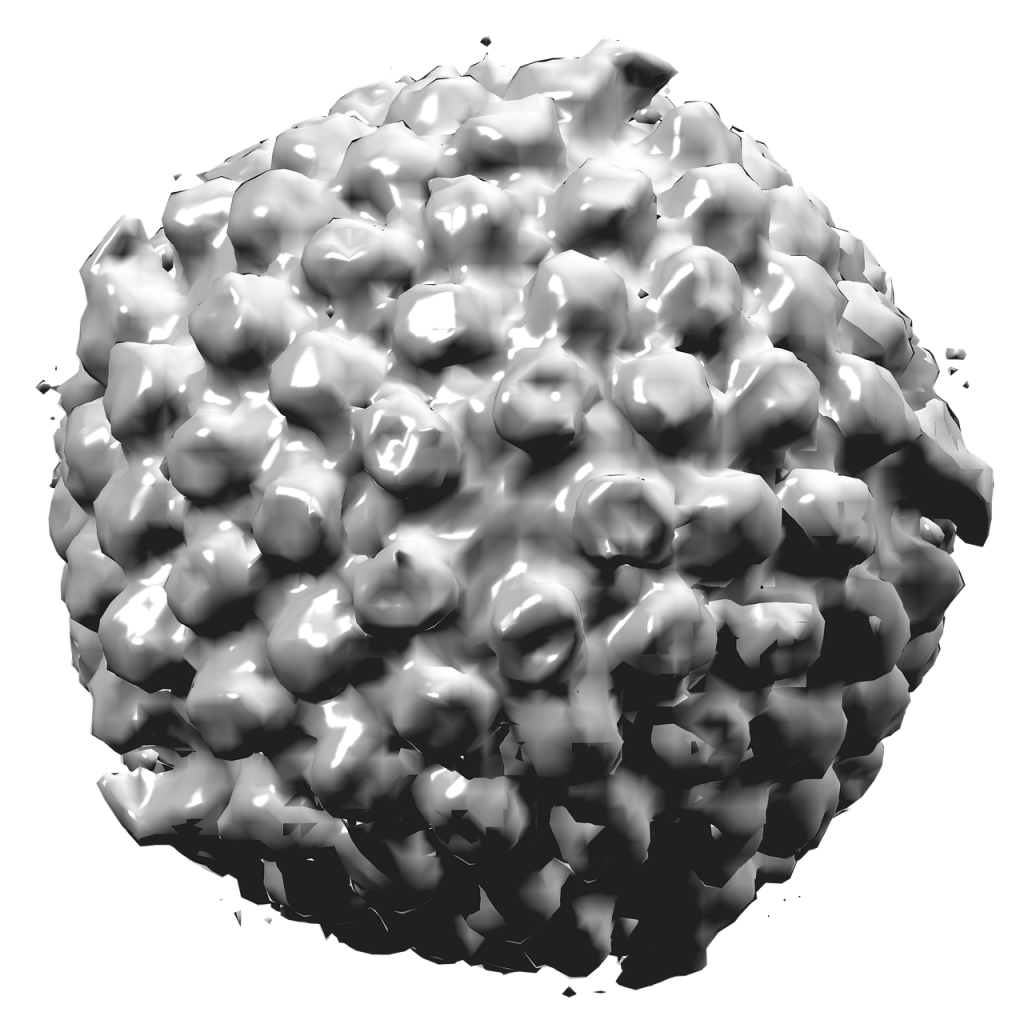 La materia e le cose che abbiamo imparato. by Terza A - Illustrated by Carloz - Ourboox.com