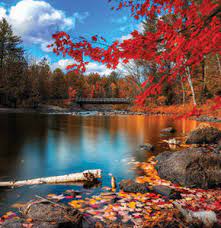 Ödevi hazırladamadan önce bahsi geçen hiçbir uygulamayı bilmiyordum ve teknolojinin gücüne tekrardan şahit oldum. Ücretsiz olarak uygulamalara erişmek ve kısa sürede bu kadar verimli bir çalışma düzeneği hayret verici. Bir de tek bir uygulamaya ders kitabına bağlı kalmadan alternatif yollar olması gayet iyiydi.