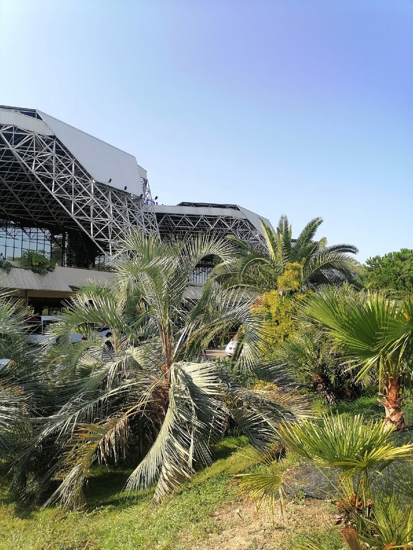 Отдых в Абхазии by Ustechenko Alexandr - Ourboox.com