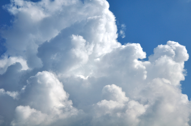 gli stati della materia by Terza B. - Illustrated by Sofia Thandapani - Ourboox.com