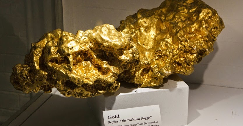 Una zucca parlante a New York (Sofia Zanotti) by Terza B. - Illustrated by Sofia Zanotti - Ourboox.com