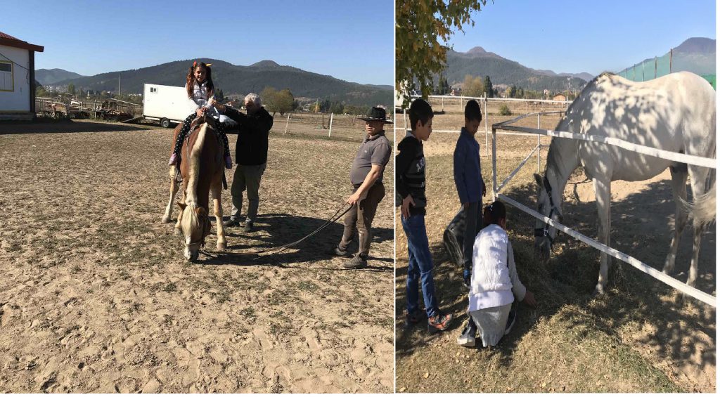 VI – XIа клас с ръководител Величка Вучкова by Velichka Vuchkova - Ourboox.com