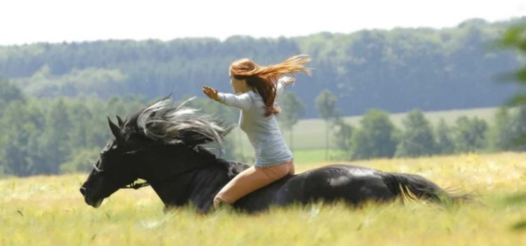 Windstorm e Mika (Sofia Zanotti) by Terza B. - Ourboox.com