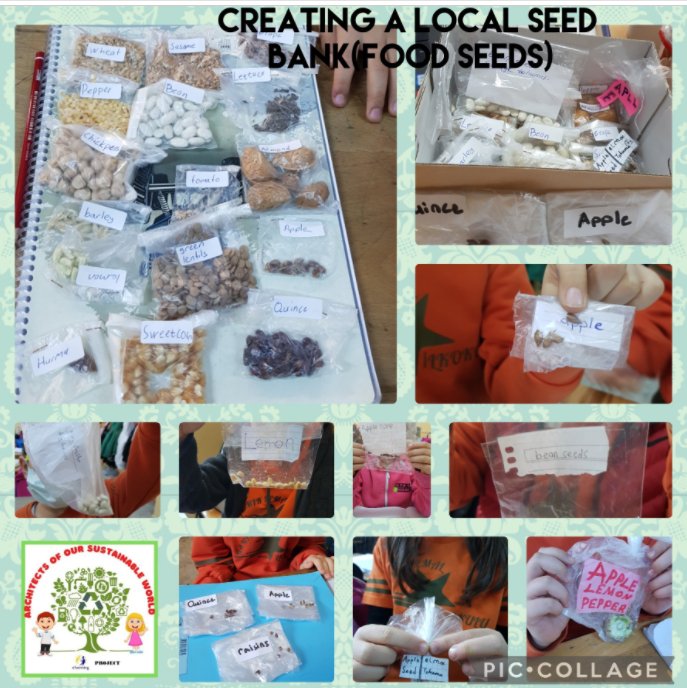 “ARCHITECTS OF OUR SUSTAINABLE WORLD” PROJECT DECEMBER E-BOOK STUDY by İsmail ÇİÇEK - Illustrated by eTwinning project - Ourboox.com