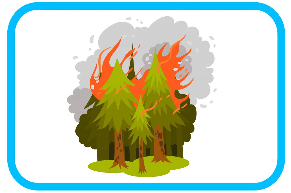 ЗДОРОВА ПЛАНЕТА-ЗДОРОВА ЛЮДИНА by Вихователь СДНЗ №65 "Лукомор