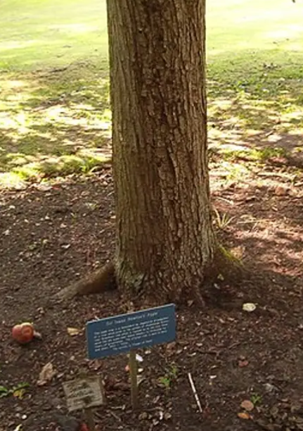 Великий учёный, но так себе политик by Абакшин Семён - Ourboox.com