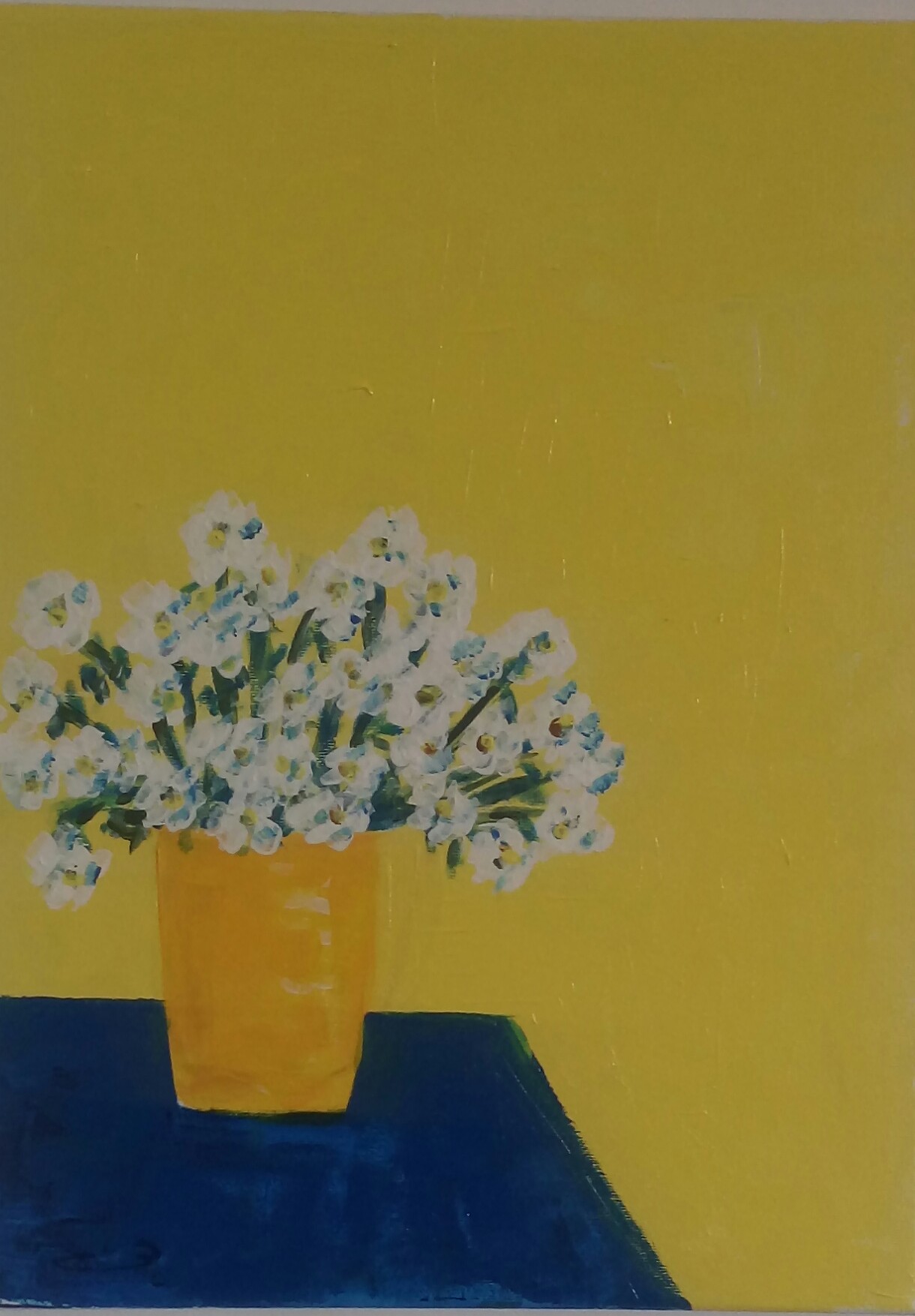 ציפורה בראבי