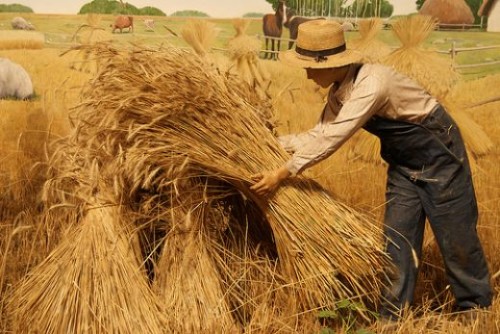 מעשה בשני אחים by Liat Levy - Ourboox.com