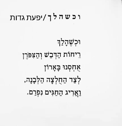 על האוכל בשירה – עם שירים של אביחי קמחי, יפעת גדות וסיגל זהבי by tsipi baravi - Ourboox.com