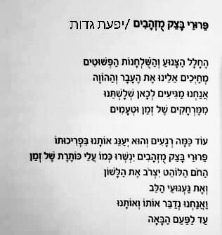 על האוכל בשירה – עם שירים של אביחי קמחי, יפעת גדות וסיגל זהבי by tsipi baravi - Ourboox.com