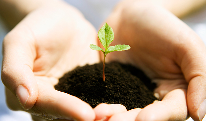 בעיה מילולית בתחום המאות – אליה חביב. by eliya haviv - Ourboox.com