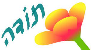 מה אני חושבת על קורס חשיבה יצירתית? by maram alhozyeil - Ourboox.com