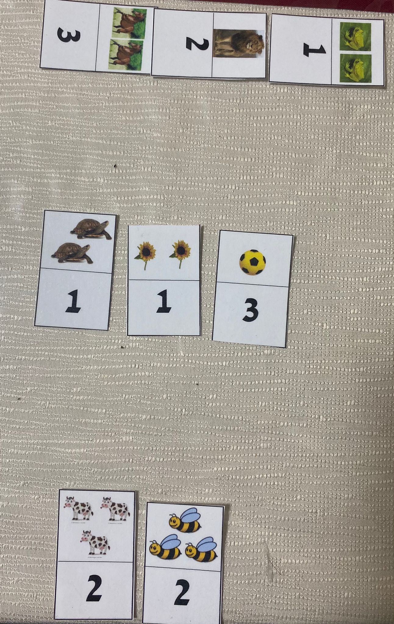 למידת התנהגות חדשה by Nurit Hajaj - Ourboox.com