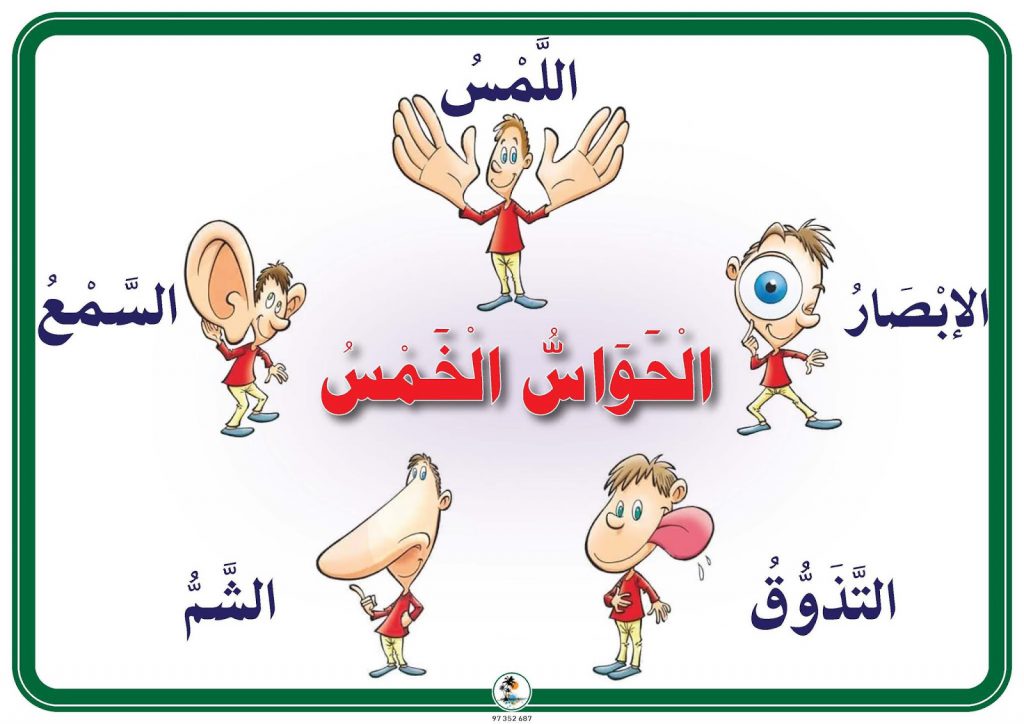 الحواس الخمس by Naseem Burqan - Ourboox.com