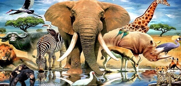 الكائنات الحيّة في البيئات المختلفة by HEBA JABAREEN - Illustrated by المعلمة هبة جبارين - Ourboox.com