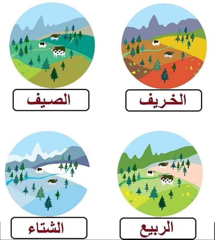 الفصول الاربعة by Nisreen  - Illustrated by Nisreen Salem - Ourboox.com