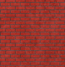 الخلية في الكائنات الحية by saeed abbasi - Illustrated by ايالة طوطح / سعيد العباسي/هبة بيضون - Ourboox.com