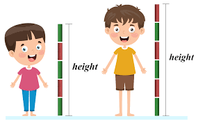 وحدات القياس by Reem Rumman - Ourboox.com