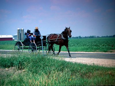 Amish by Noa Shnizer - Ourboox.com