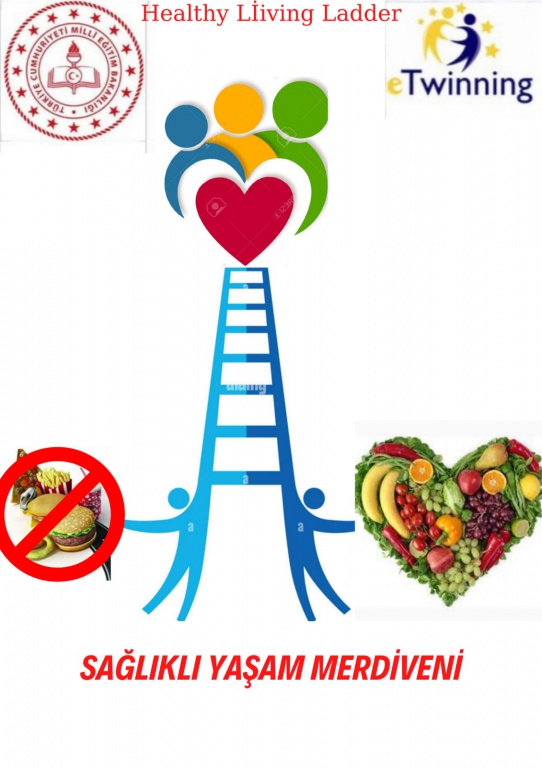 Sağlıklı Yaşam Merdiveni eTwinning Projesi Öğretmen Son Anket Sonuçları by Ersin Akyol - Ourboox.com