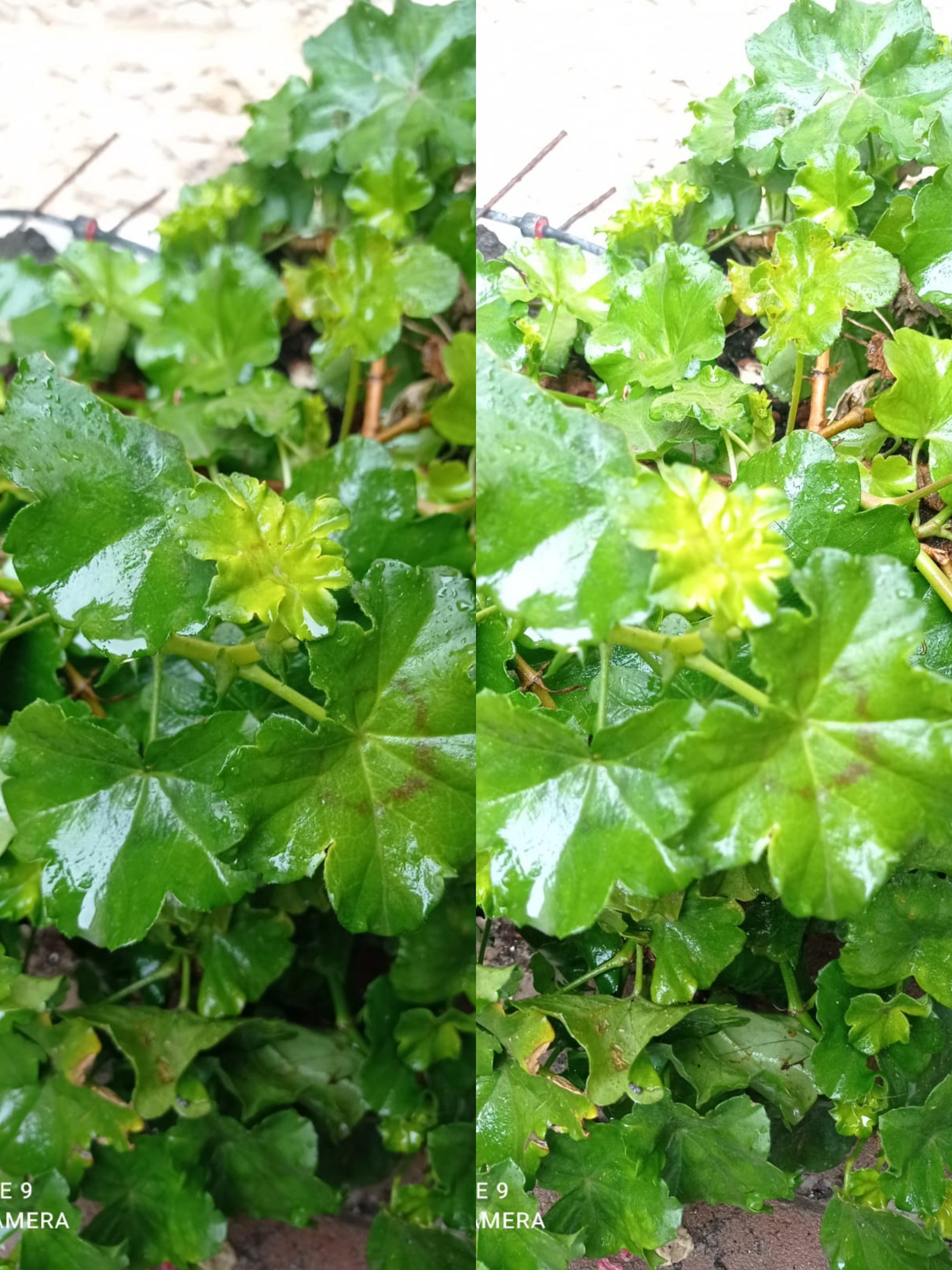 תקשורת by noya nargssi - Ourboox.com