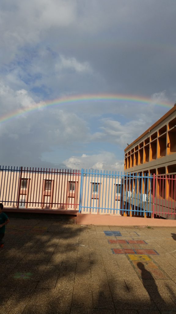 עיתון by tania - Ourboox.com