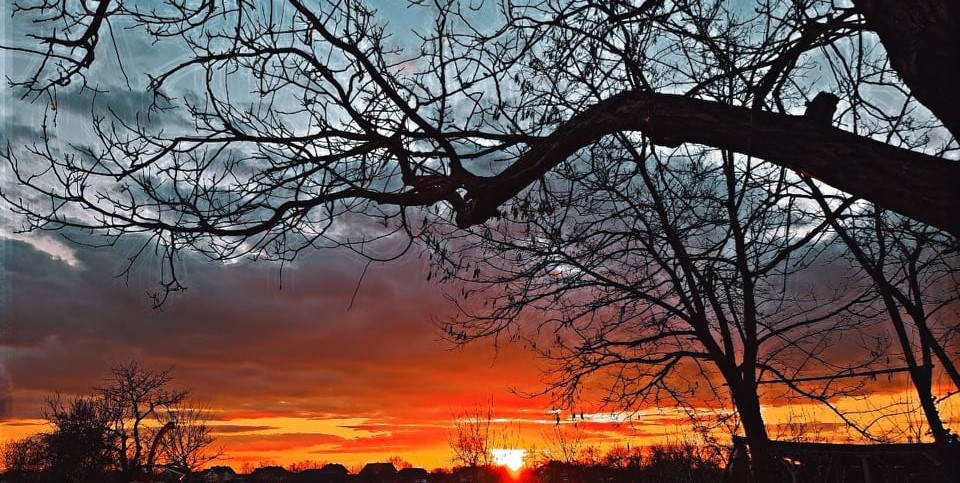 Pobednička fotografija