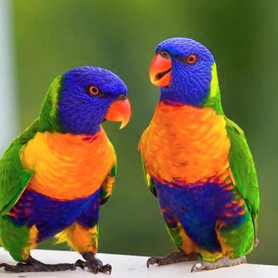 SPEAKING HR IN ENGLISH