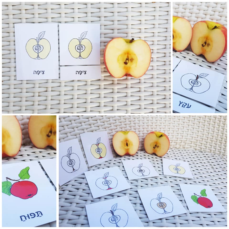 תָּכְנִית שָׂפָה by yulia - Illustrated by Hebrew Montessori by Yulia Shcherbina - Ourboox.com