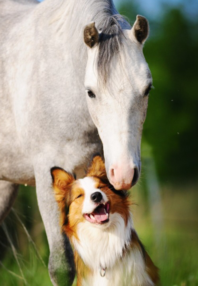 LA MIA VITA QUITIDIANA by Giorgia - Ourboox.com