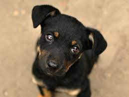 My personal digital book by Luigi Cerchiara - Ourboox.com