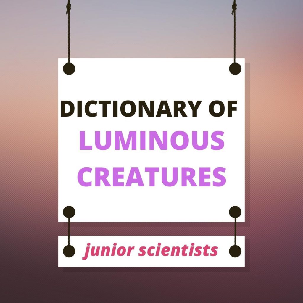 Dictionary of Luminous Creatures by cagla - Ourboox.com