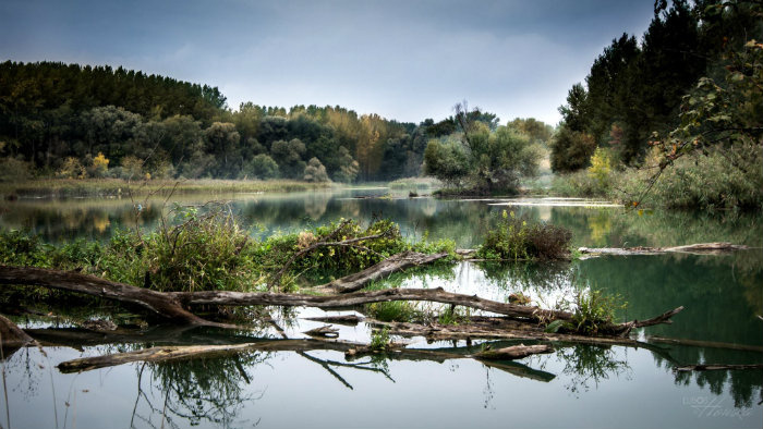 Wetlands of Slovakia by Tomáš Hojsík - Ourboox.com