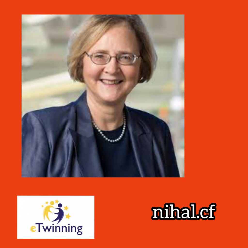 SUCCESSFUL WOMEN WHO IS WHO GAME by SeNu - Ourboox.com