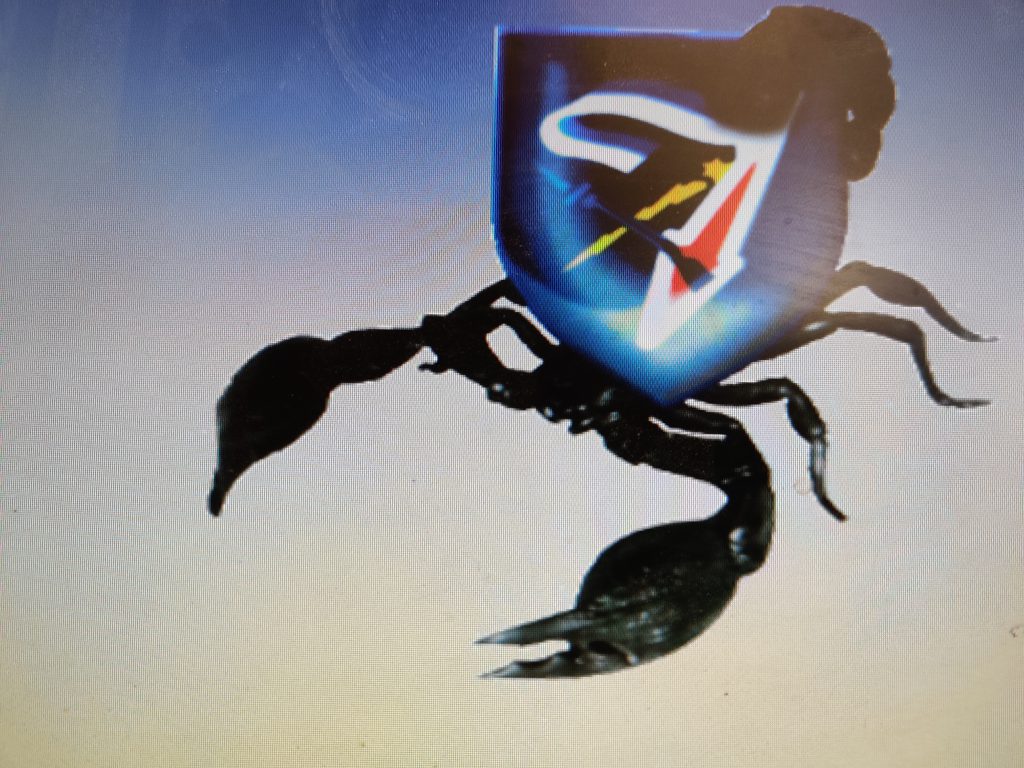 ספר מחזור צמ”פ נוב 21 by Yoav Eitan - Ourboox.com