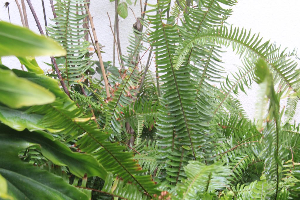 خارج الصندوق by raseel elawe - Illustrated by رسيل علاوي - Ourboox.com