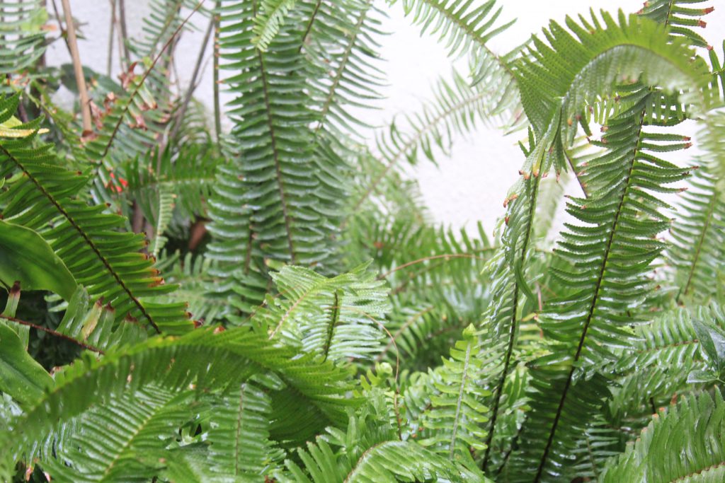 خارج الصندوق by raseel elawe - Illustrated by رسيل علاوي - Ourboox.com