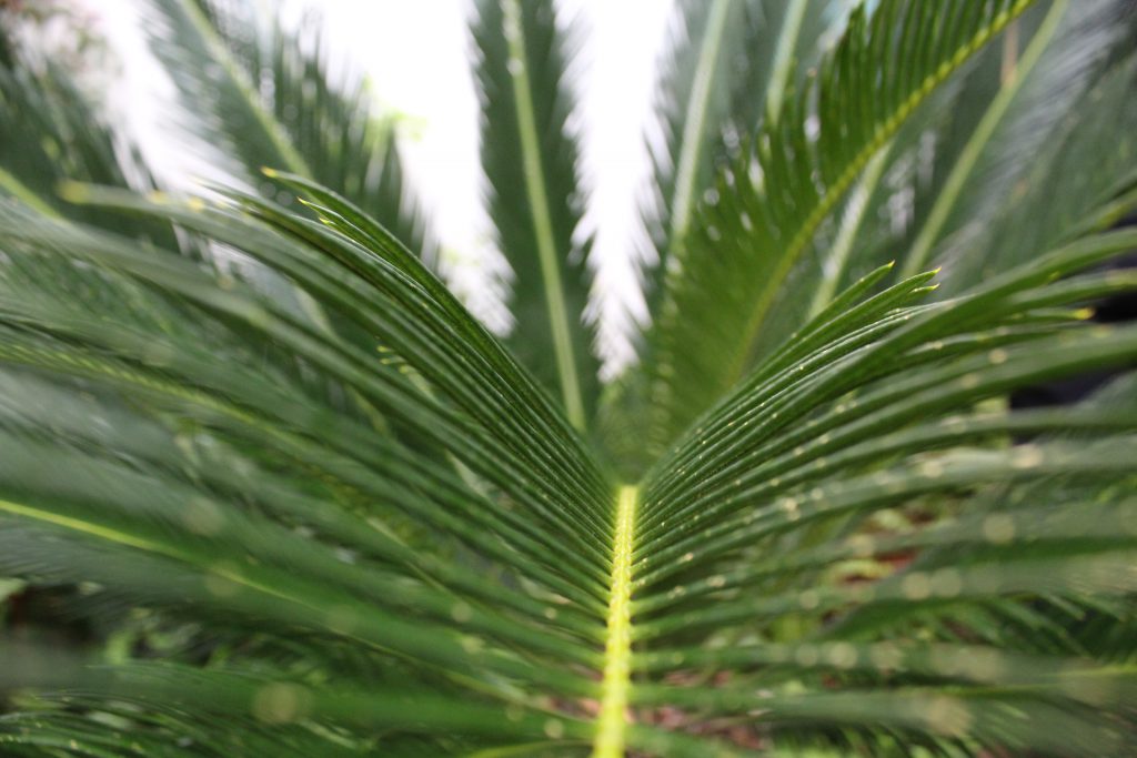 خارج الصندوق by raseel elawe - Illustrated by رسيل علاوي - Ourboox.com