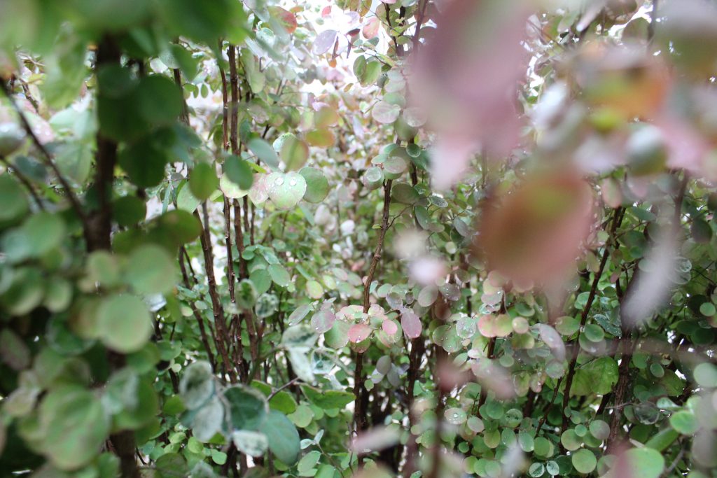 خارج الصندوق by raseel elawe - Illustrated by رسيل علاوي - Ourboox.com