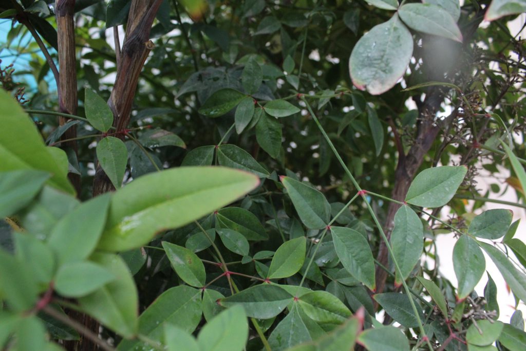 خارج الصندوق by raseel elawe - Illustrated by رسيل علاوي - Ourboox.com