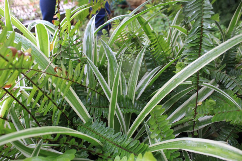 خارج الصندوق by raseel elawe - Illustrated by رسيل علاوي - Ourboox.com