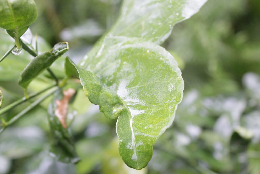 خارج الصندوق by raseel elawe - Illustrated by رسيل علاوي - Ourboox.com