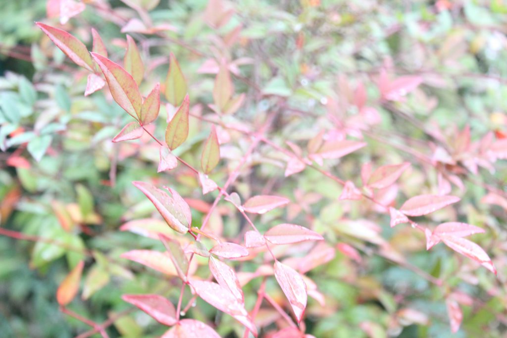 خارج الصندوق by raseel elawe - Illustrated by رسيل علاوي - Ourboox.com